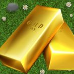 Gold collector