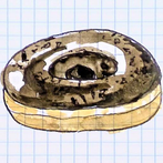 Don't eat the Donut - 2,3 or 4