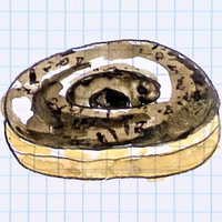 Don't eat the Donut - 2,3 or 4