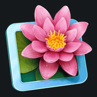 Flower Match Puzzle