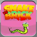 Snake Vs Brick