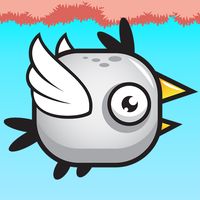 Bird In Rescue