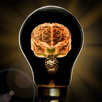 Light Of Logic - Logic Game