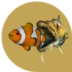 Online fish game