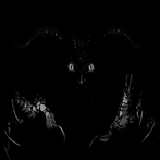 Devyne: Saga (text-based Adven