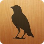 Blackbird