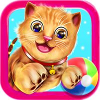 Virtual Cat Simulator Games 3d
