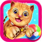 Virtual Cat Simulator Games 3d