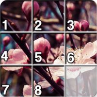 Gif Sliding Puzzle (Giphy)