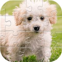 Dog Jigsaw Puzzle