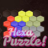 Hexa Puzzle Game