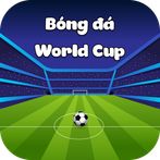 Bóng đá World Cup
