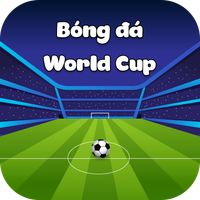 Bóng đá World Cup