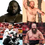 Guess The Wrestler