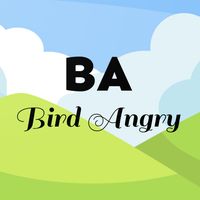 Bird Angry