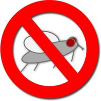 Anti-Fly