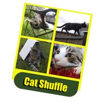 Cat Shuffle