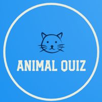Викторина животных