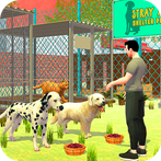 Animal Shelter Pet Dog Rescue