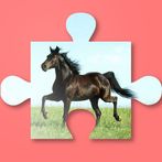 Horse Puzzle Games for Girls