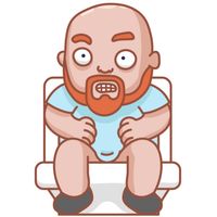 Toilet - time to fly