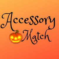 Accessory Match