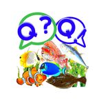 물고기 퀴즈