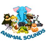 Animal Sounds : Listen & Learn