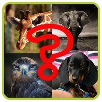 Adivina a los animales
