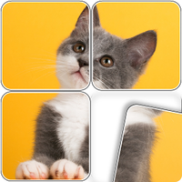 Swappy - Jigsaw Puzzles