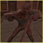 Horror Game - Scary Night