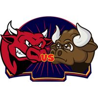 Bullseye - Cows and Bulls