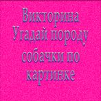 Викторина угадай породу dog со