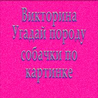 Викторина угадай породу dog со