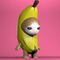 Talk To Banana Cat Package