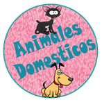 Animales Domesticos