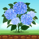 Pocket Garden