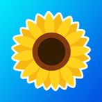 Flower Pots - 2048