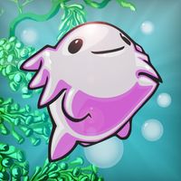 Trippy Salamander Infinite