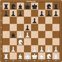 Basic chess endgames