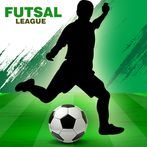 Professional Futsal League