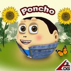 Poncho