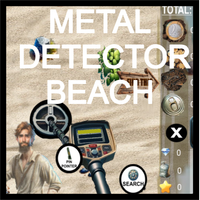 Metal detector beach