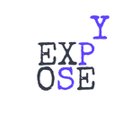 Expose Spy (Spyfall)