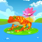 Tricky Frog