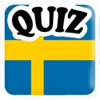 Quiz Suede
