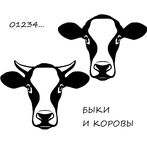 Быки и коровы