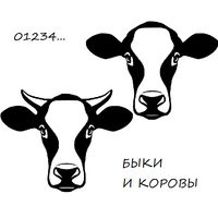 Быки и коровы