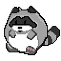 Raccoon Roll
