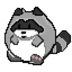 Raccoon Roll